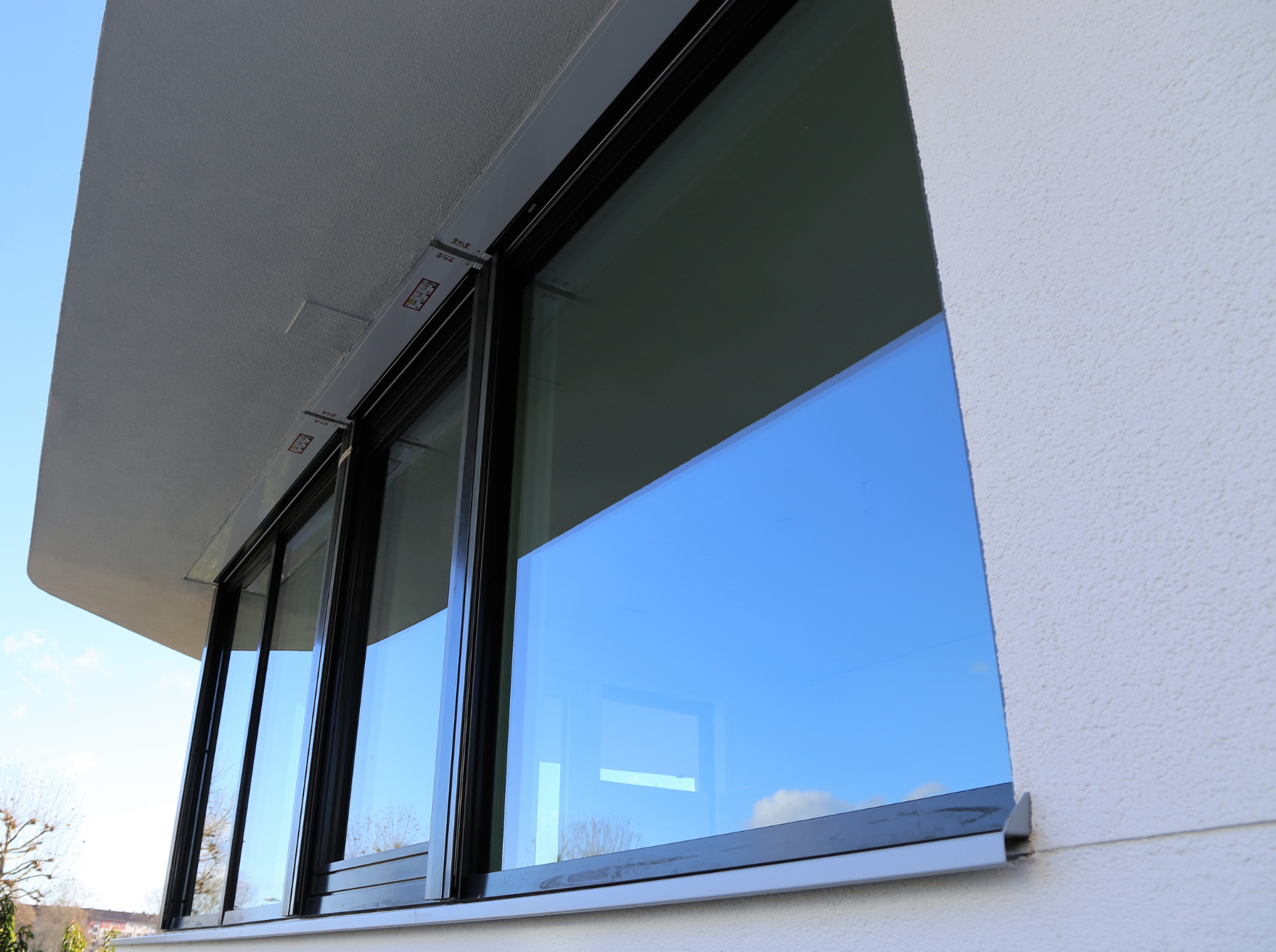ventana1 Experiencia y profesionalidad